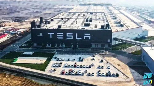 降低成本這招我會 豐田開發新車身技術，直指行業成本命門